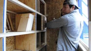 Racing pigeon Breeding boxes our Style Many uses [upl. by Solenne]