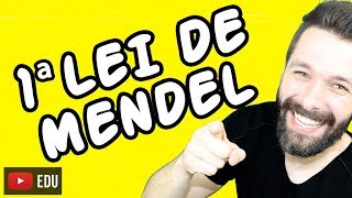 1 LEI DE MENDEL  Genética  Biologia com Samuel Cunha [upl. by Gniliem357]