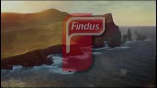 Three Pony Advert Findus 3 Horse Meat Scandal Parody Moonwalk pony dance to Findus factory [upl. by Giles]