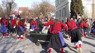 Fasnet Faschingumzug Narrenumzug Tettnang mädchen werden gefangen [upl. by Sueaddaht]