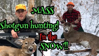 Massachusetts Shotgun hunting IN THE SNOW 2019 [upl. by Hulburt]