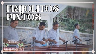 Frijolitos Pintos  cover Marimba Alegre Princesita en vivo [upl. by Duquette86]