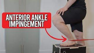 How to do exercises for Anterior Ankle Impingement [upl. by Alessandro]