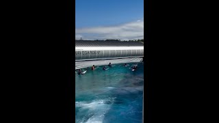 Longboard Surf at The Wave [upl. by Bidget464]