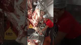 beef forequarter breakdown and deboning [upl. by Gildus895]