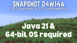 Minecraft Now Requires a 64bit Operating System  24w14a Snapshot Overview [upl. by Granese]