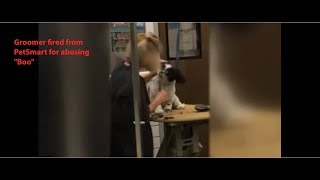 Violent groomer fired from PetSmart caught on tape abusing quotBooquot [upl. by Enilekaj]