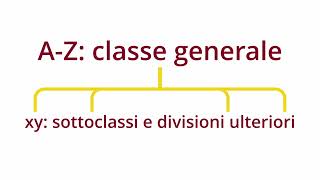 JEL classification [upl. by Absalom]