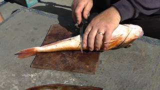 Preparing A Gurnard [upl. by Clotilda]