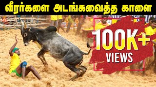 LIVE  ஜல்லிக்கட்டு 2022  Trichy Manapparai Jallikattu 2022  Jallikattu  Jallikattu Highlights [upl. by Spaulding]