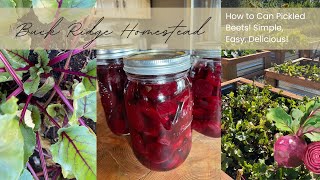 How To Can amp Preserve Pickled Beets  Garden To Table On The Homestead  Simple Easy amp Delicious [upl. by Eva]