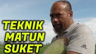 Pak Ndul  TEKNIK MATUN SUKET [upl. by Arianne]