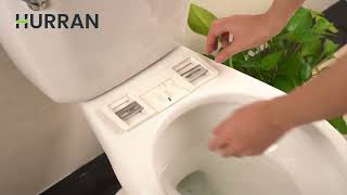 How To Install Electronic Bidet Toilet Seat [upl. by Ester]