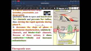 Antiarrhythmics drug [upl. by Sikko]