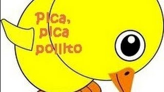 Pica pica pollito  Canciones infantiles  Preescolar [upl. by Fassold621]