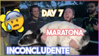 MARATONA INCONCLUDENTE  Best Clip  GIORNO 7 Dario Moccia Twitch [upl. by Ttelracs352]