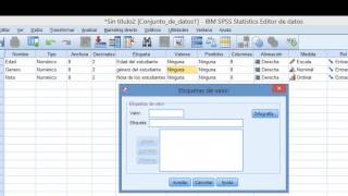 IBM SPSS Tutorial Cómo Ingresar Datos [upl. by Eidnar200]