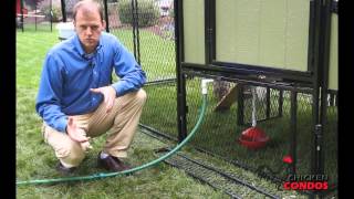 Automatic Bird Fount Waterer wBowl Guard from Chicken Condos [upl. by Ezaria]