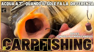 CARPFISHING INVERNALE ACQUA a 7° Il SOLE Ha Fatto la DIFFERENZA [upl. by Alarick]