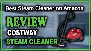 COSTWAY 2000W Multipurpose Steam Cleaner Review  Best Steam Cleaner on Amazon [upl. by Annaj]