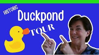 Tour of Duckpond Gainesville FL Real Estate [upl. by Merwin]