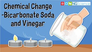 Chemical Change – Bicarbonate Soda and Vinegar [upl. by Swamy]