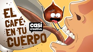 Dentro de tu cuerpo cuando bebes café  Casi Creativo [upl. by Ellenod]