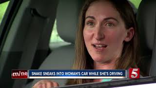 Snake Crawls Out Of Woman’s Trunk While She’s Driving [upl. by Ylrae]