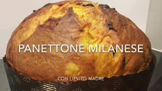 Panettone milanese a lievitazione naturale con impastatrice a spirale Sunmix [upl. by Corry]