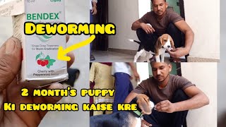 2 months puppy ki deworming kaise kreDeworming in puppiesDeworming easy methoddeworming dog [upl. by Adnamas]