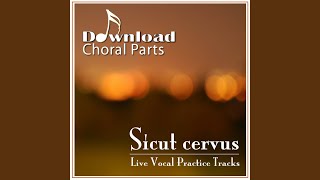 Sicut cervus  Soprano Emphasized [upl. by Onileva]