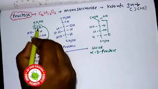 FRUCTOSE  ALL STRUCTURE [upl. by Halonna813]