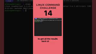 Level 14  Linux Command Challenge tech shortsvideo challenge [upl. by Aicercul]