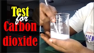 Qualitative Analysis  Test for Carbon dioxide Using Lime Water [upl. by Saunders850]