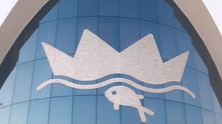 VISITE OCEANOGRÀFIC DE VALENCIA 🇪🇸 [upl. by Gardel]