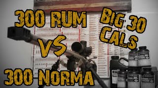 300 RUM vs 300 Norma  Cartridge Comparison [upl. by Nutsud149]