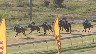 Yeppoon 20240803 Race 4 [upl. by Anitsej]