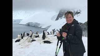 Is Hurtigruten the Right Antarctica Cruise For YOU [upl. by Amolap]