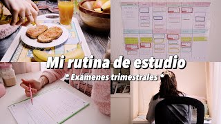 MI RUTINA DE ESTUDIO de un fin de semana en exámenes  cómo estudio y me organizo [upl. by Erelia]