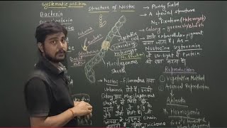 TMBUMICBotany Structure and Lifecycle of Nostoc Important for examination 20242028 [upl. by Fayre]