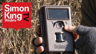 How to Use a Trail Camera [upl. by Ylle70]