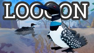 LOONS are NOW on Feather Family [upl. by Temple205]