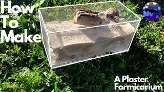 How To Make A Plaster Formicarium [upl. by Aliel]