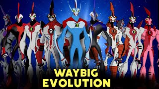 Evolution of Waybig  All forms of WaybigTokustar  Herotime [upl. by Eibmab508]