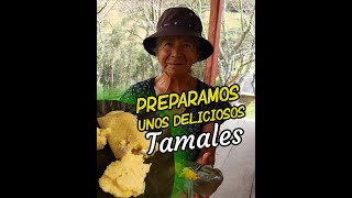 ASÍ PREPARÉ MIS TAMALES AL ESTILO DEL CAMPO  Doña María [upl. by Bramwell]