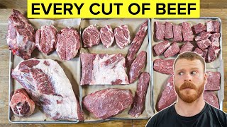 Beef 101 The Beginners Guide to Every Cut of Beef [upl. by Kahle]