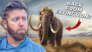 Animals That Will Go Extinct By 2025 🥺 [upl. by Ramin]