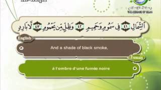 Surat AlWaqiaSheikh Saad Al Ghamdi [upl. by Yesdnyl]