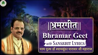 भ्रमर गीत  Bhramar geet  Dr Shyamsundar Parashar Ji Maharaj Bhagwat Kalpadrum [upl. by Aloiv425]