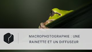 Macro photographie  une rainette et un diffuseur [upl. by Enitsirk208]